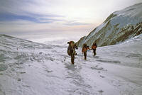 La sella tra Vinson e Shinn