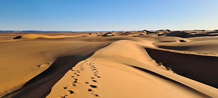 Campo tra le dune di Baiga all'alba 18°51'12'' N; 21°42'03'' E