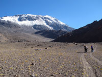 Salendo il Socompa, 6051 m