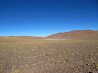 Paesaggio andino a 4500 m