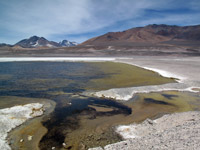 La parte orientale della laguna verde