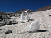 Penitentes