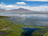 La laguna di Tara, 4200 m