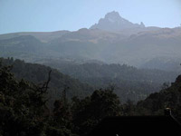 Il Kenya visto dal Naro Moru Gate, 2400 m