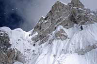 La Torre grigia