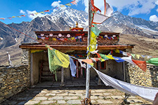 Gompa tra i campi di Nar