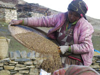 Setacciatura del grano a Naar