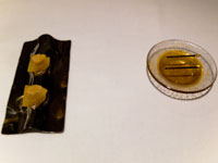 Yuzu al miso e fiammifero di soya in foglia d’oro