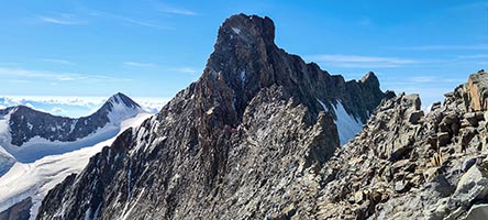 La cresta rocciosa finale col torriore del Piz Bernina vista dal Pizzo Bianco