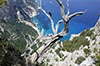 Immagini del trek "Selvaggio Blu" in Sardegna