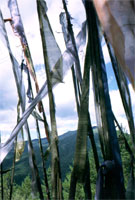 Da Trongsa a Bhumthang, bandiere di preghiera