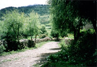 Bhumtang, strada di villaggio ad Ura