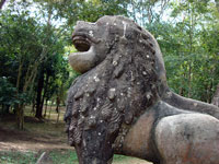 Leone ad Angkor