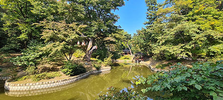 Laghetto nel giardino segreto del palazzo reale di Changdeokgung