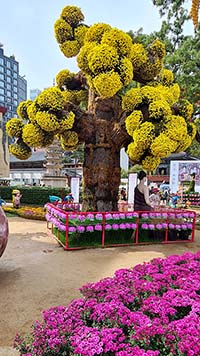 Fiori nel tempio buddista di Seoul