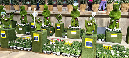 Piante ex-voto nel giardino del tempio buddista Jogyesa di Seoul