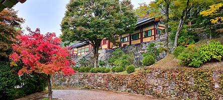 I colori dell'autunno nel tempio buddista di Buseoksa