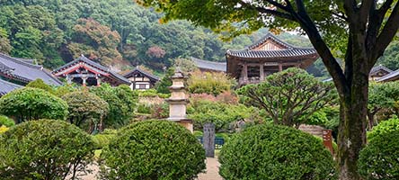 Il tempio buddista di Buseoksa immerso nel verde del monte Galgojsan