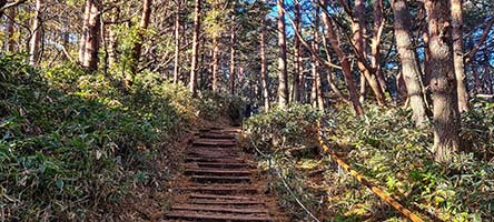 La prima parte nella foresta del sentiero Gwaneumsa al monte Halla