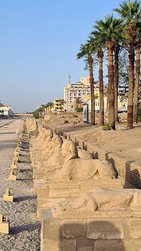 Viale delle sfingi a Luxor