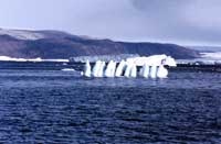 Iceberg a Qaanaaq