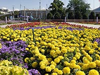Giardino in piazza del Parlamento a Bishkek
