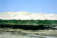 Dune a Khongoryn Els