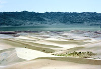 Dune a Khongoryn