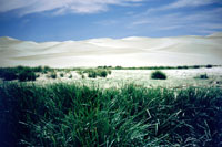 Dune a Khongoryn