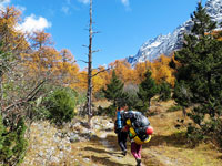 Sentiero autunnale verso Kambachen