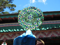 Dettaglio copricapo cerimoniale in piume di pavone