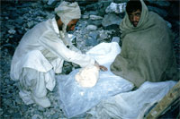 Preparazione del Chapati