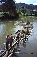 Ponte di tronchi sul Sepik