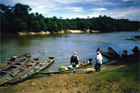 Barche lungo la sponda del fiume Sepik