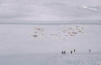 Il medical camp visto dall'alto