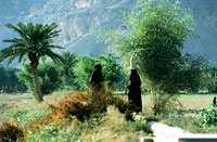 Contadine dello Wadi Doan